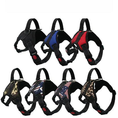 Pet Walking Harness: Adjustable Comfort